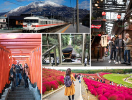 Explore the options for 1 day trips from Tokyo