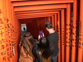 Tokyo Multi Day Tours: Come Join Me for Yours!