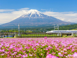 Take a bullet train to Shin-Fuji Station
