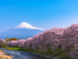 Embark on a Fuji tour when visiting Japan