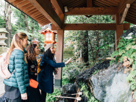 Find tours ideal for group travel with friends and fami