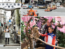 Is a Tokyo city tour worth the hype? Evaluating the tru