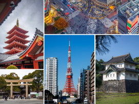 Go sightseeing and see Tokyo's landmarks