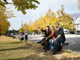 Your walking tour in the park will be a tranquil break