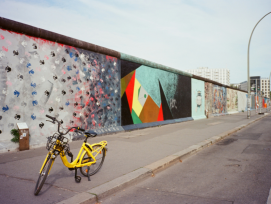 Explore the city like a local.