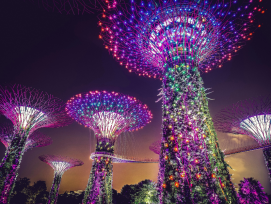 Gardens by the Bay Light Show: A Spectacular Evening