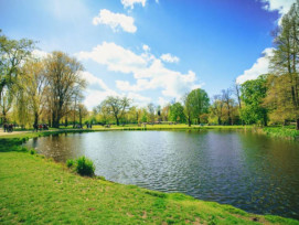 Vondelpark: An Oasis of Green
