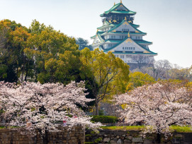 Early cherry blossom bloom in Nishinomaru Garden with Osaka Castle visible in the background. Early cherry blossom bloom in Nishinomaru Garden with Osaka Castle visible in the background.