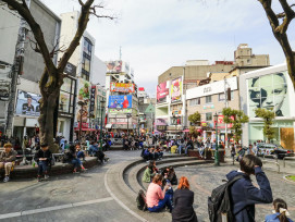 Photo of Americamura. Photo by George Photo cm on Shutterstock. Photo of Americamura. Photo by George Photo cm on Shutterstock.