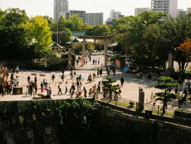Theme park entrance from afar with crowds visible at the gates. Photo by William Mortlock on Pexels. Theme park entrance from afar with crowds visible at the gates. Photo by William Mortlock on Pexels.