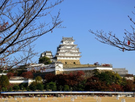 Trees framing a view of Himeji Castle Trees framing a view of Himeji Castle