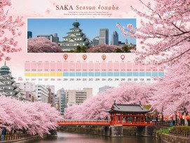 hanami season forecast calendar showing peak bloom dates across different Osaka locations. hanami season forecast calendar showing peak bloom dates across different Osaka locations.