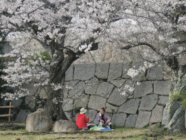 A couple enjoying a traditional hanami picnic under fully bloomed cherry trees Photo by Syadza Salsabyla on Unsplash A couple enjoying a traditional hanami picnic under fully bloomed cherry trees Photo by Syadza Salsabyla on Unsplash