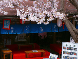Sakura petals gently falling on a traditional tea setting in a covered pavilion Photo by Bruce Tang on Unsplash