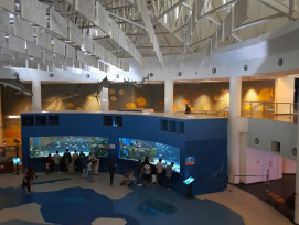 Interior view of Osaka Aquarium Kaiyukan Photo by Vishal Tiwari on Unsplash Interior view of Osaka Aquarium Kaiyukan Photo by Vishal Tiwari on Unsplash