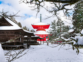 Snow-covered temple garden showing winter structural beauty Photo by Samuel Berner on Unsplash Snow-covered temple garden showing winter structural beauty Photo by Samuel Berner on Unsplash