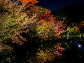 Eikando temple's famous maple trees in full autumn color illumination. Photo by YANGHONG YU on Unsplash Eikando temple's famous maple trees in full autumn color illumination. Photo by YANGHONG YU on Unsplash