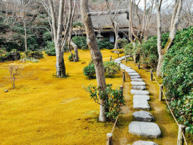 Small neighborhood temple with carefully maintained moss garden Photo by Esther T on Unsplash Small neighborhood temple with carefully maintained moss garden Photo by Esther T on Unsplash