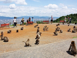 Panoramic view of Kyoto city from the monkey park observation deck photo by Andrea Schaffer from Sydney, Australia Creative Commons Attribution 2.0