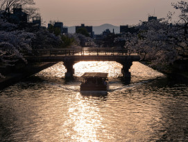 Cherry blossoms over a canal at sunset Photo by YANGHONG YU on Unsplash Cherry blossoms over a canal at sunset Photo by YANGHONG YU on Unsplash