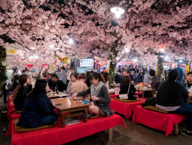 Families gathered under large cherry trees in Maruyama Park with evening picnic setups on cooling stones. Families gathered under large cherry trees in Maruyama Park with evening picnic setups on cooling stones.