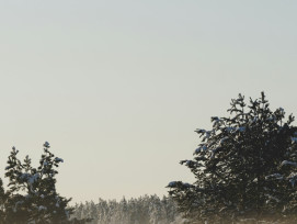 Morning mist rising from snow-covered temple gardens with soft golden light filtering through bare maple branches Photo by Dasha Samusenko on Unsplash Morning mist rising from snow-covered temple gardens with soft golden light filtering through bare maple branches Photo by Dasha Samusenko on Unsplash