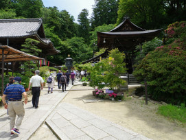 Walking tour through Philosopher's Path with host and guest. Photo by Naoki Suzuki on Unsplash Walking tour through Philosopher's Path with host and guest. Photo by Naoki Suzuki on Unsplash