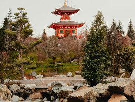 Tenryu-ji temple garden view Photo by Michael Kanivetsky on pexels Tenryu-ji temple garden view Photo by Michael Kanivetsky on pexels
