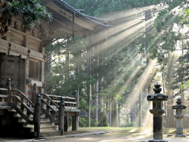 Traditional wooden architecture in early morning light with mist rising from temple gardens Photo by notinx on Unsplash
