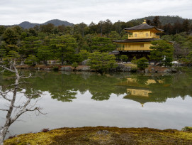Kinkaku-ji temple reflected in still pond water with morning mist, no tourists visible Photo by Young Kane on Unsplash Kinkaku-ji temple reflected in still pond water with morning mist, no tourists visible Photo by Young Kane on Unsplash