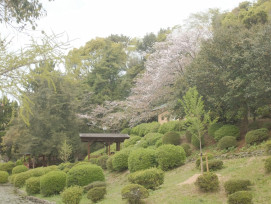 Traditional landscape garden at Tenryu-ji with borrowed scenery of Arashiyama mountains Photo by Mak on Unsplash