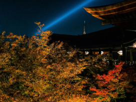 Yasaka Shrine illuminated at night during autumn with colorful leaves visible in the lantern light Photo by YANGHONG YU on Unsplash Yasaka Shrine illuminated at night during autumn with colorful leaves visible in the lantern light Photo by YANGHONG YU on Unsplash