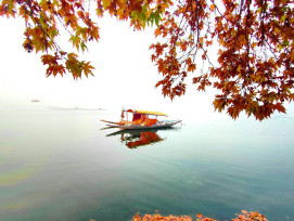 Traditional wooden boat navigating the Hozu River with autumn foliage reflected in calm water Photo by Murtaza Ali on Unsplash