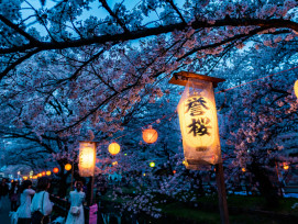 Evening hanami party under illuminated cherry blossoms in Maruyama Park with families enjoying picnics Photo by Zhaoli JIN on Unsplash Evening hanami party under illuminated cherry blossoms in Maruyama Park with families enjoying picnics Photo by Zhaoli JIN on Unsplash