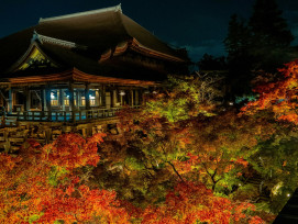Kodai-ji temple garden illuminated at night with autumn maple leaves glowing red against traditional architecture Photo by YANGHONG YU on Unsplash Kodai-ji temple garden illuminated at night with autumn maple leaves glowing red against traditional architecture Photo by YANGHONG YU on Unsplash