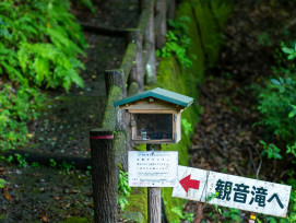 A handmade sign directing visitors to a moss garden. Photo by Kouji Tsuru on Unsplash A handmade sign directing visitors to a moss garden. Photo by Kouji Tsuru on Unsplash
