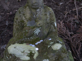 Moss-covered Buddha statues in silence.Photo by jessica rigollot on Unsplash Moss-covered Buddha statues in silence.Photo by jessica rigollot on Unsplash