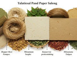 Different plant fibers and materials used in traditional Japanese paper making. Different plant fibers and materials used in traditional Japanese paper making.