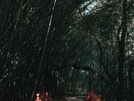A winding path through dense bamboo forest. Photo by Eduardo Gutierrez on Unsplash A winding path through dense bamboo forest. Photo by Eduardo Gutierrez on Unsplash