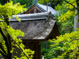 Small shrine building nestled among trees with mountain view beyond Small shrine building nestled among trees with mountain view beyond