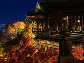 Illuminated gardens of Kodai-ji Temple with autumn colors and evening lighting Photo by YANGHONG YU on Unsplash Illuminated gardens of Kodai-ji Temple with autumn colors and evening lighting Photo by YANGHONG YU on Unsplash