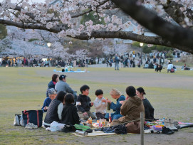 Locals enjoying green tea under cherry blossoms Photo by Gavin Li on Unsplash Locals enjoying green tea under cherry blossoms Photo by Gavin Li on Unsplash
