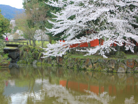 Cherry trees reflecting in the calm waters of Lake Biwa Canal Photo by jarunee sooksom on Unsplash Cherry trees reflecting in the calm waters of Lake Biwa Canal Photo by jarunee sooksom on Unsplash