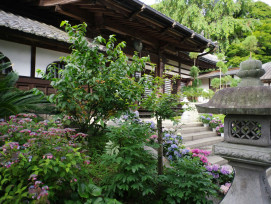 Private residential garden with traditional stone lantern and carefully pruned plants Photo by Naoki Suzuki on Unsplash Private residential garden with traditional stone lantern and carefully pruned plants Photo by Naoki Suzuki on Unsplash