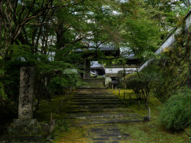 Stone path winding through mountain forest leading to the villa Photo by Kouji Tsuru on Unsplash Stone path winding through mountain forest leading to the villa Photo by Kouji Tsuru on Unsplash