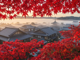 Morning mist rising over traditional Kyoto rooftops with red maple leaves in foreground. Morning mist rising over traditional Kyoto rooftops with red maple leaves in foreground.