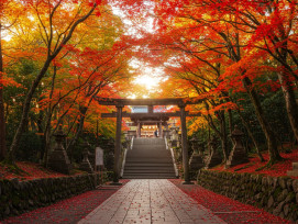 Traditional mountain path leading to Kifune Shrine with autumn colors. Traditional mountain path leading to Kifune Shrine with autumn colors.