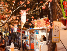 Flea market stalls beneath colorful maple trees Photo by Chen Li on Unsplash