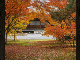 Temple main hall interior with autumn garden view Photo by CHEN HENG on Unsplash
