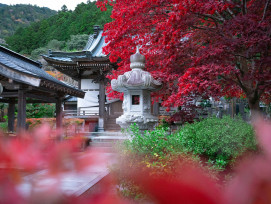 Traditional farewell scene with autumn colors and peaceful temple Photo by Lucas Calloch on Unsplash Traditional farewell scene with autumn colors and peaceful temple Photo by Lucas Calloch on Unsplash